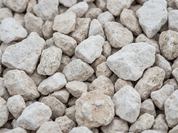 Close-up macro texture of pale caliche limestone, a stylized material study representing the Central Texas region, not a photograph of an actual property